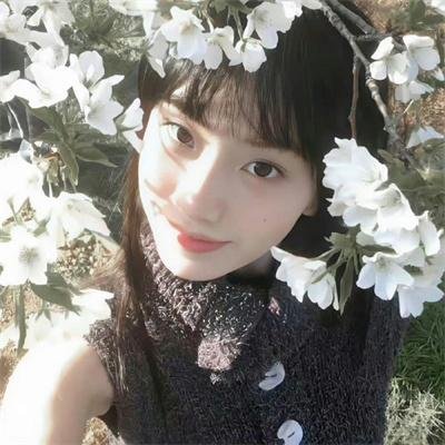 路易斯安那州的故事